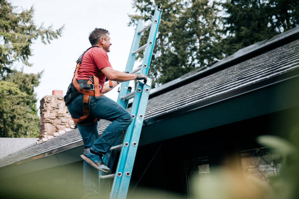 Best Green or Eco-Friendly Roofing Solutions  in Sturgis, SD