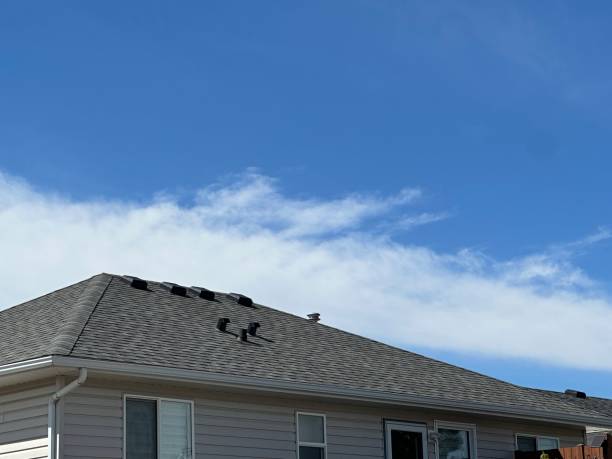 Professional Roofing Service  in Sturgis, SD